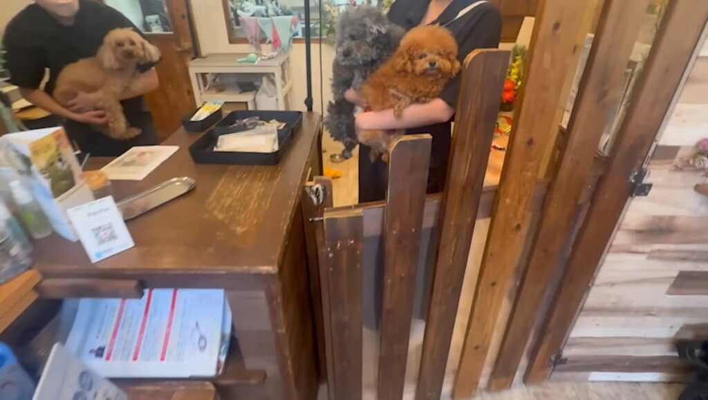 トリミング前のビフォー