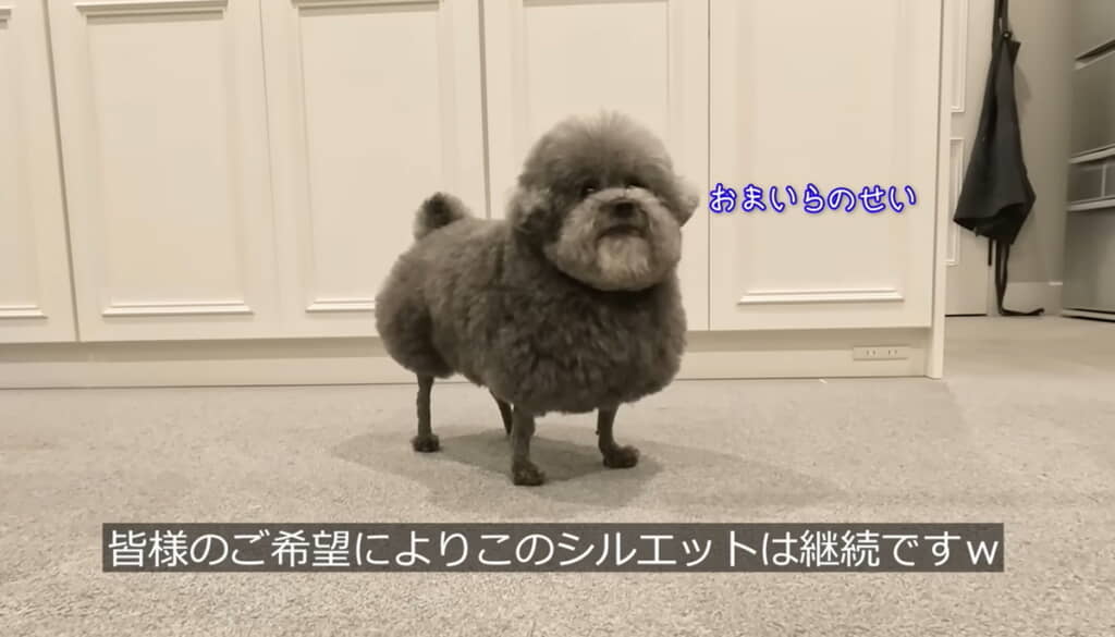 ゆずくんのアフター