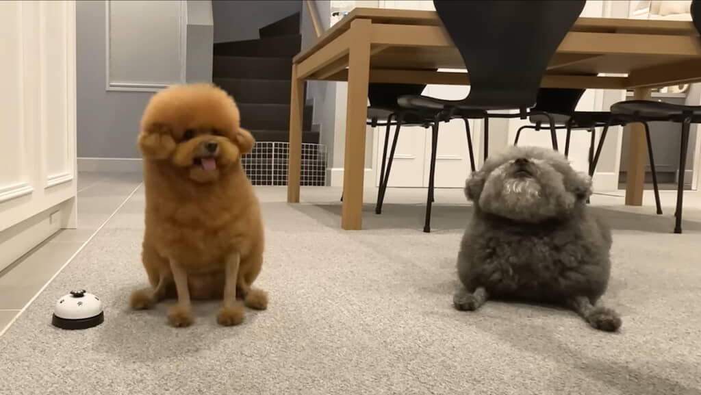 相反するお座り