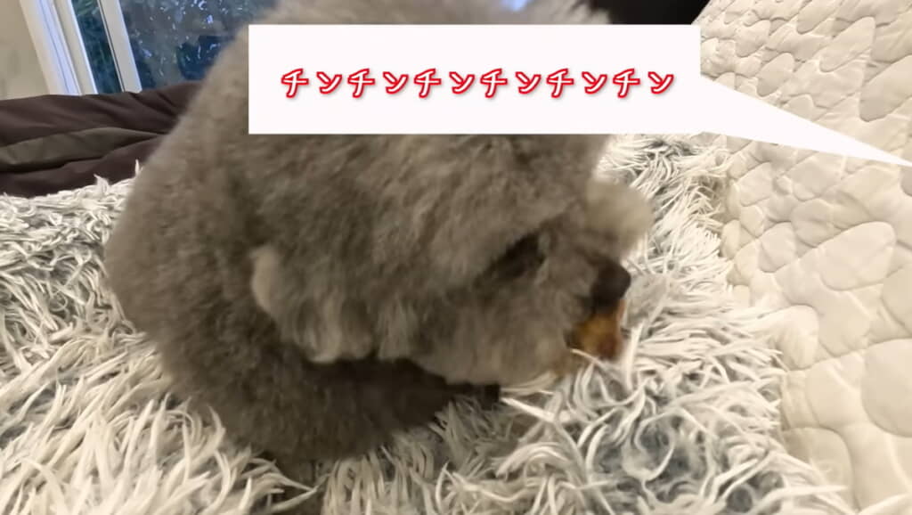 ベルの音が鳴りやまない