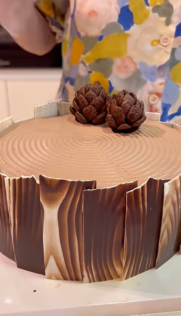 リアルすぎる松ぼっくり！