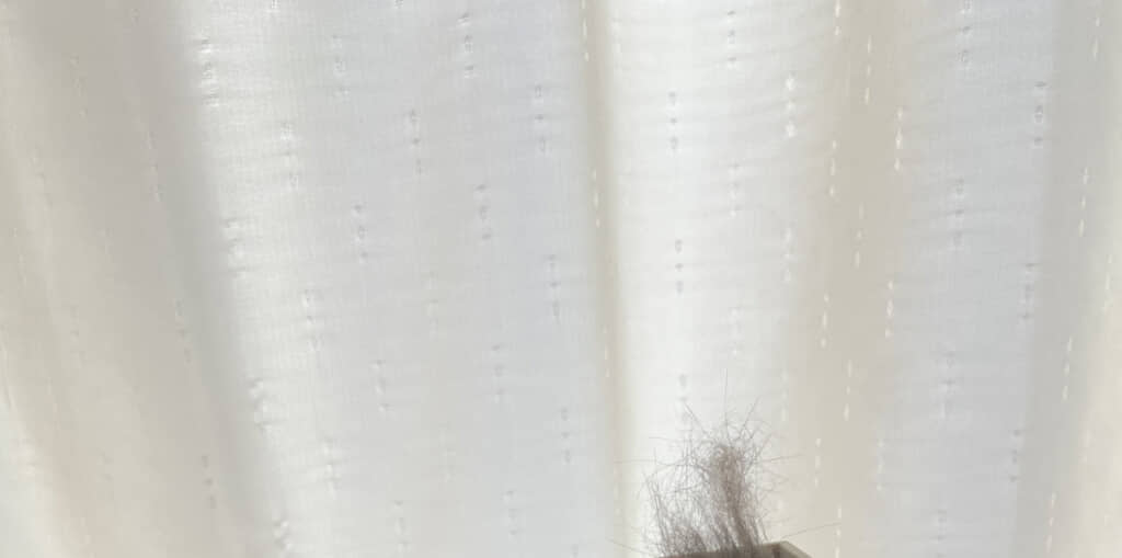 予想外の光景が……！