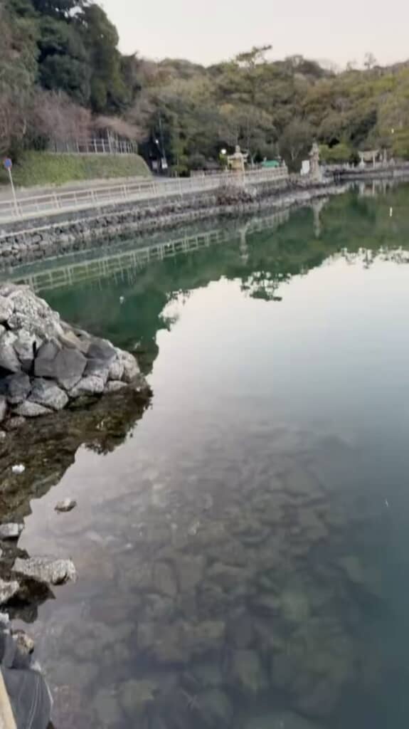 この岩の割れ目から海水が流れ出しているのでしょうか
