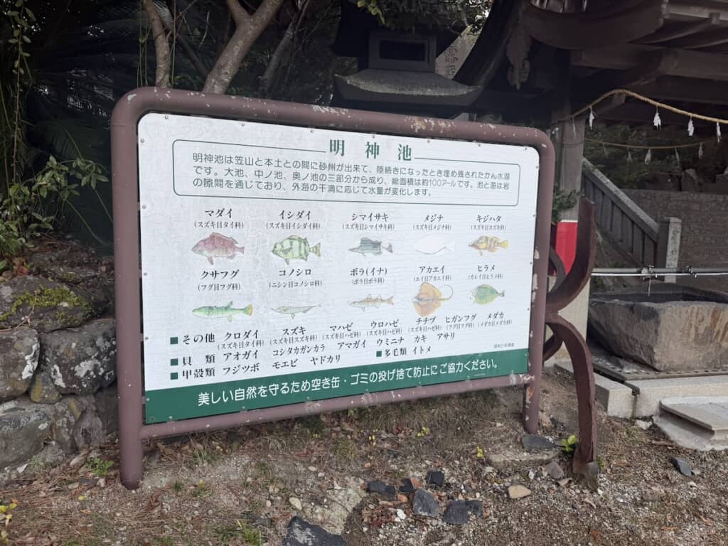 こんなにいろんな海水魚がいるとは！