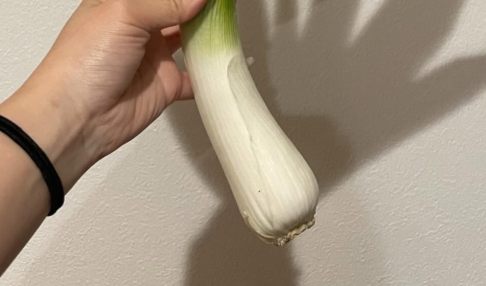 もらったネギを使おうと袋から出してみると……?