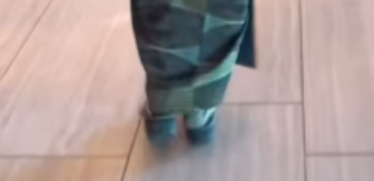 59歳女性、食事会に普段着の着物を着ていくと……「完璧です」　まさかの着こなしに「なんと縁起の良い」「帯いいですね」（1/3） | ライフスタイル ねとらぼ