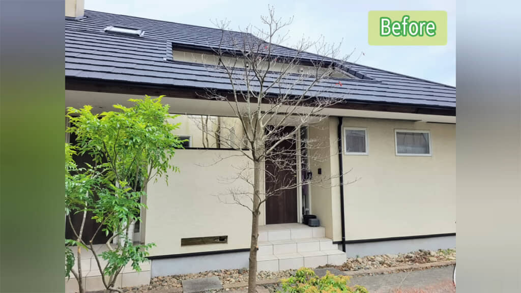 バランスが悪くなっていたハナミズキが