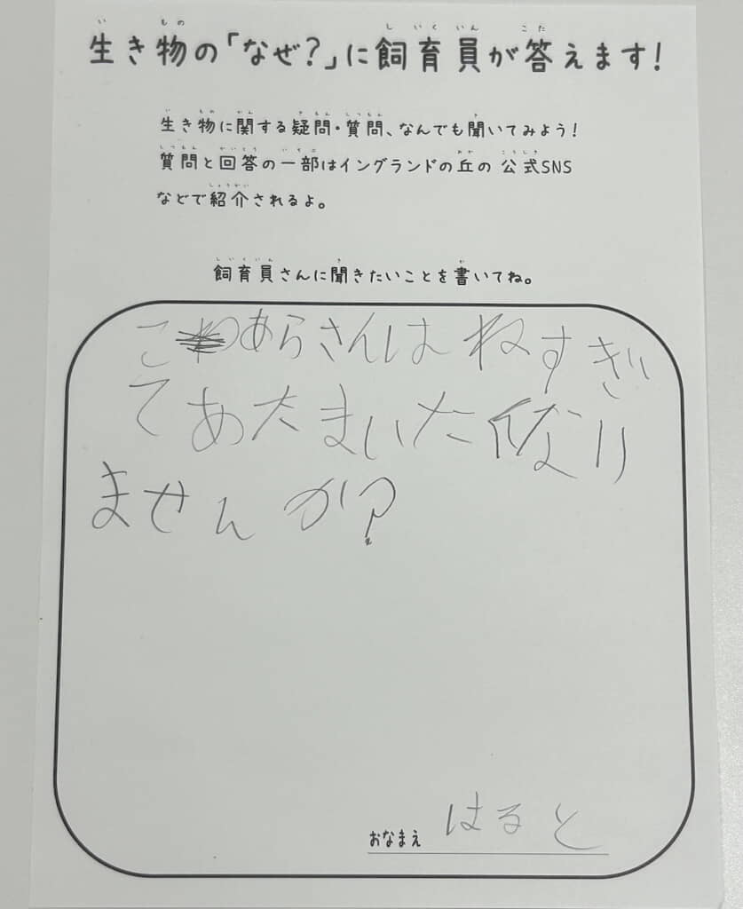 そういえばよく寝てる気がする
