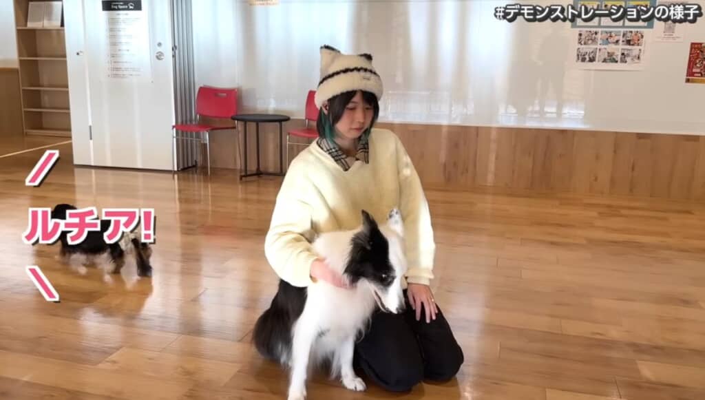 デモ機をつけない状態だと無反応です