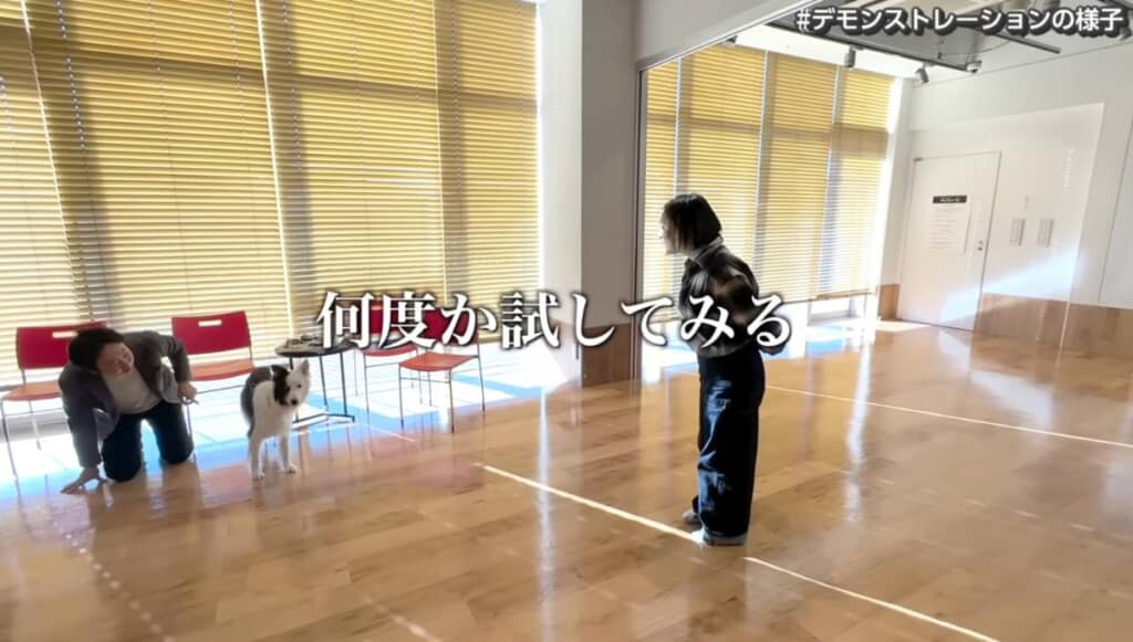 デモ機を確認しつつ、何度が挑戦