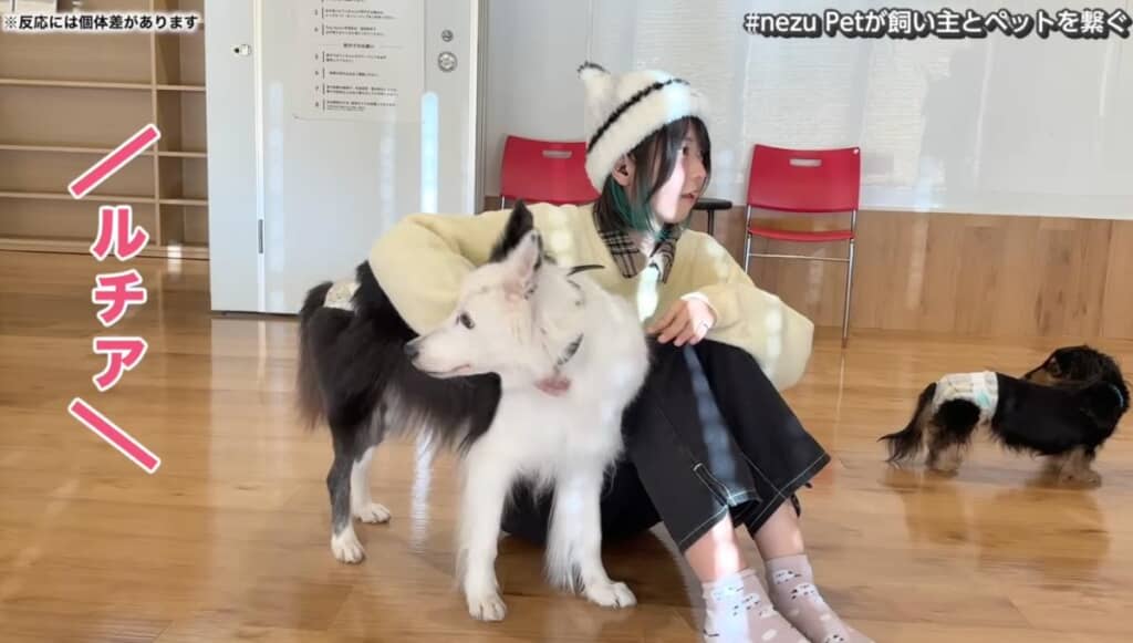 飼い主さんの声に気づいて振り向いています