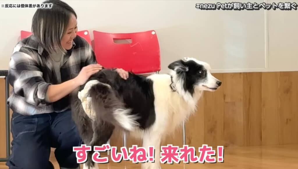 声を頼って来てくれた！