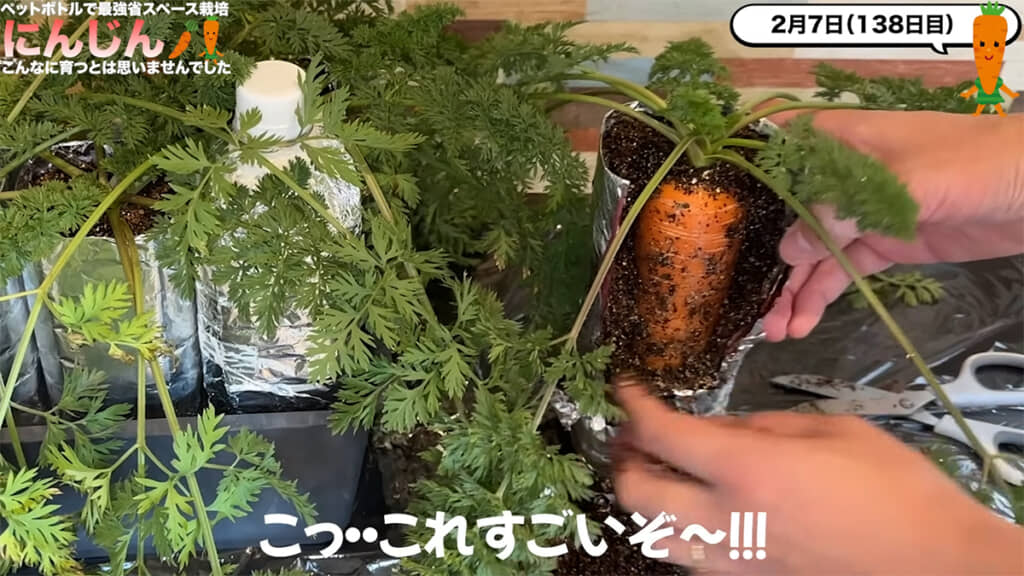 ペットボトルの中には……