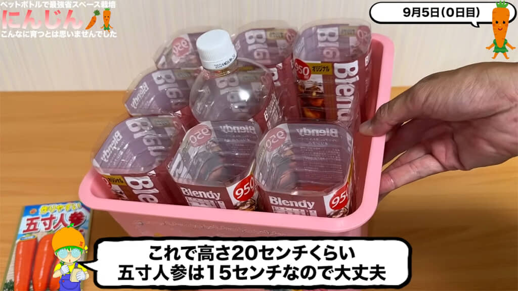 ペットボトルを使い、水耕栽培に挑戦します