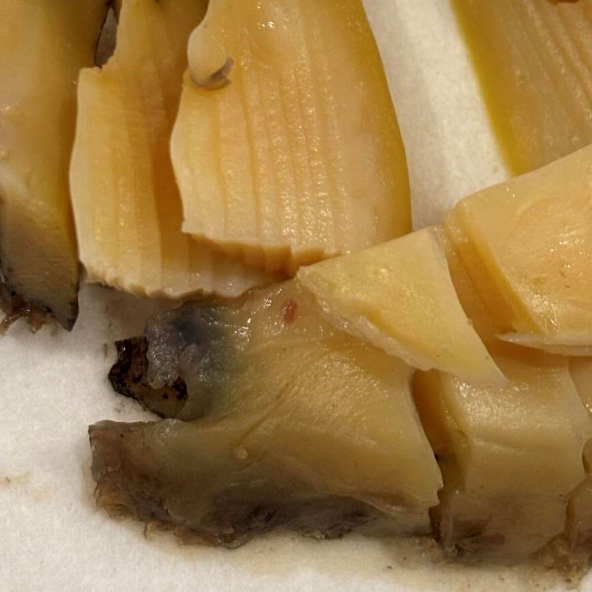 高級なアワビを食べようとしたら……　中から“さらに高価なもの”発見「でっか！」「何これ」「強運の持ち主ですね」 | ライフスタイル ねとらぼ