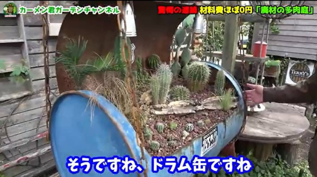 つるしたドラム缶にサボテンの寄せ増え