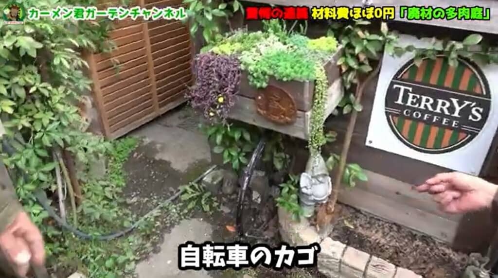 自転車のカゴにも植物が