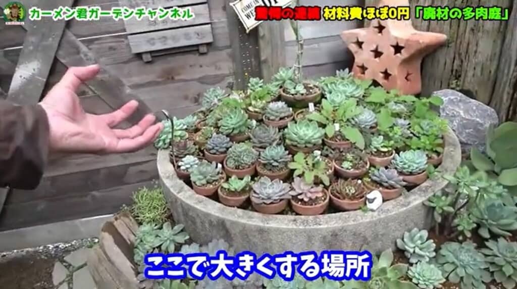 ここで大きくして他に移します