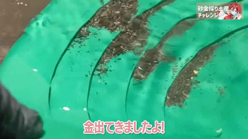 皿の溝に引っかかっている砂金