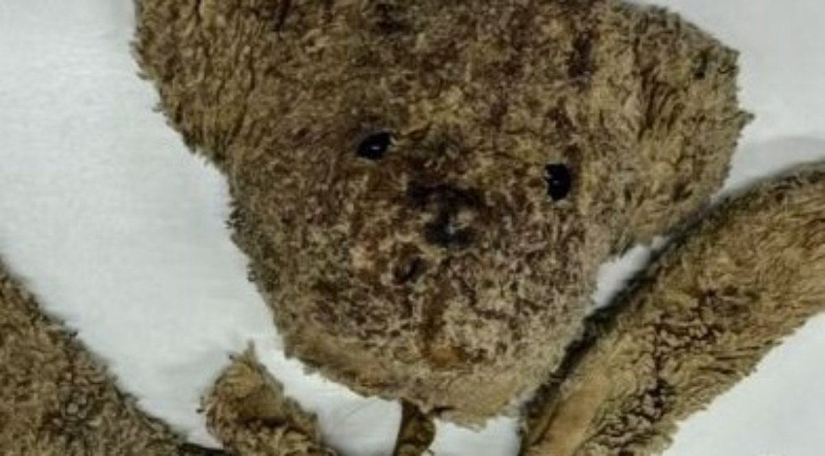 ボロボロなクマのぬいぐるみ→修復のプロが生き返らせると……「ここまで綺麗になるとは」驚きのビフォーアフターに「こんなに白かったのね」（1/3） | ホビー ねとらぼ