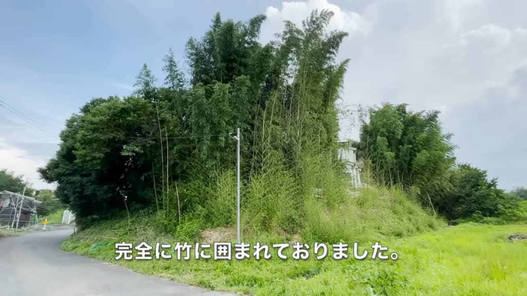 道路側からは竹林にしか見えない状況