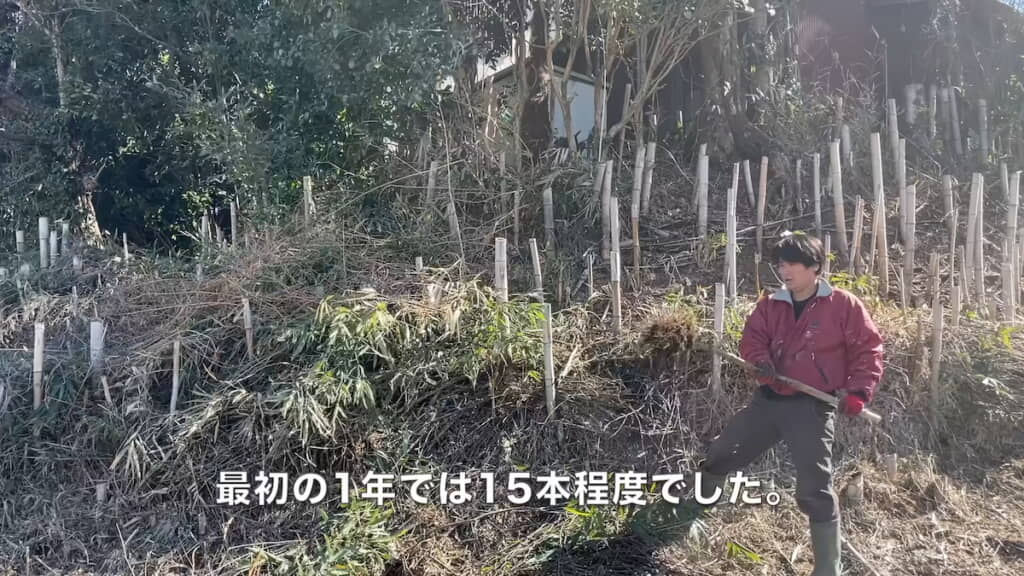 1年後の時点で約15本を手で抜くことができた