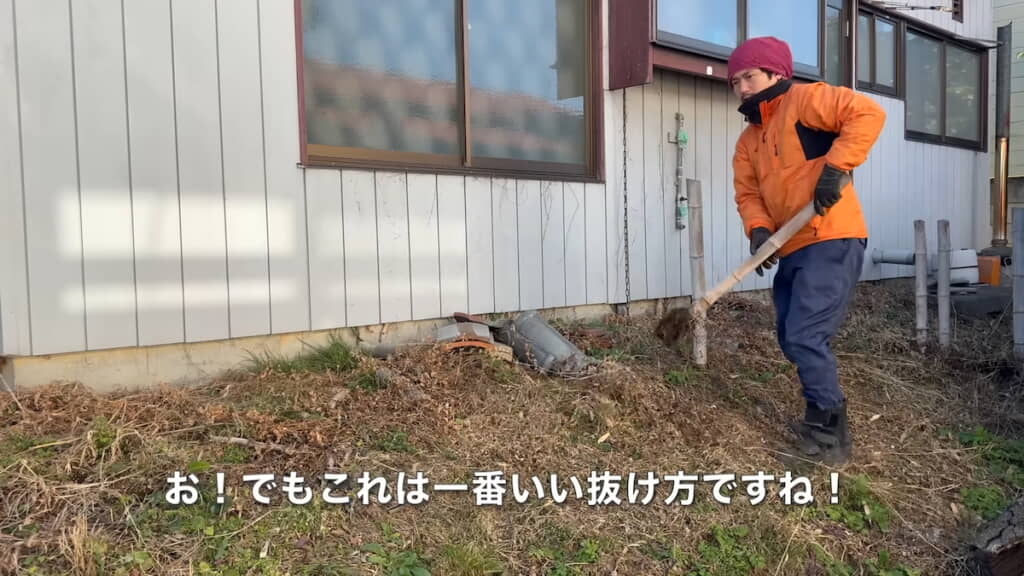 簡単に抜ける竹