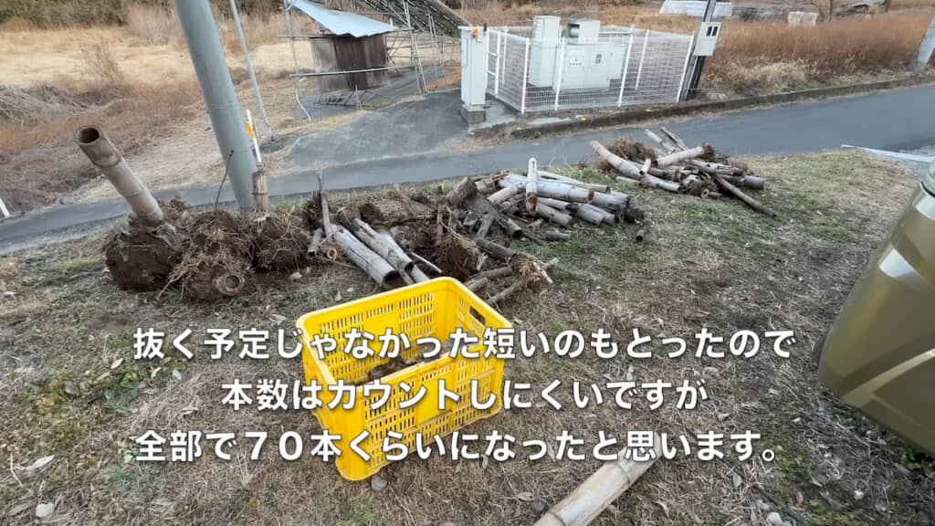 全部で70本ほどを抜いた