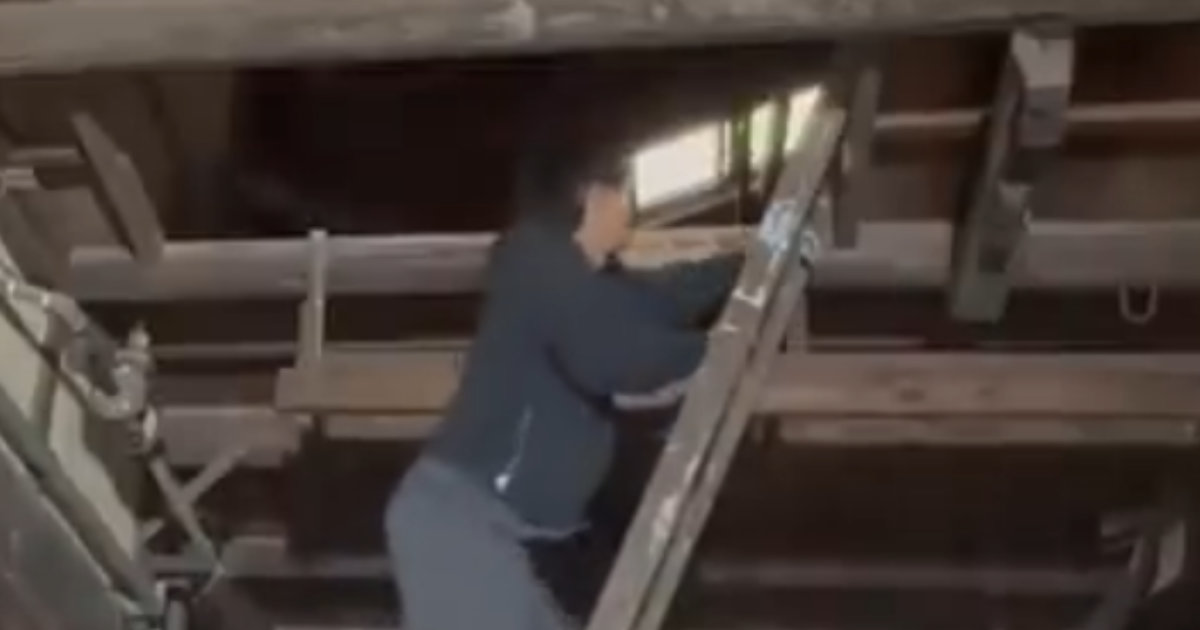 古民家を購入した23歳男性、2階で見つけた“あるもの”を洗ってみると……　まさかの光景に「すごーい」「渋いですね～」（1/3） | ライフスタイル ねとらぼ