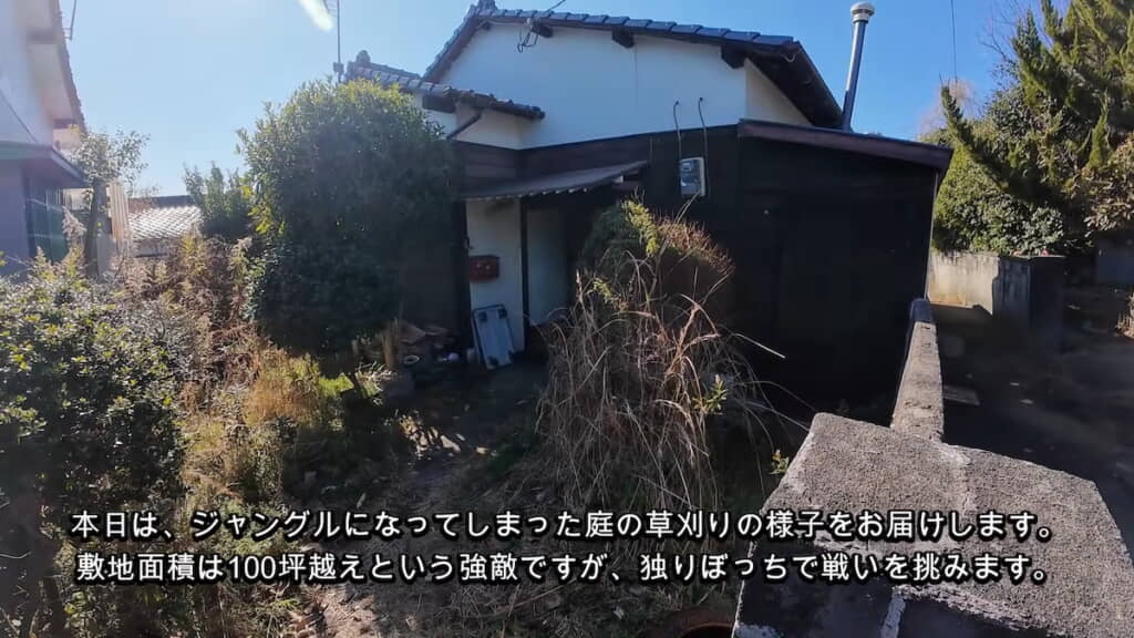 玄関周りはそこまでジャングル化していない