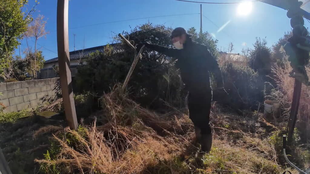 草の中から現れた物干し竿立て