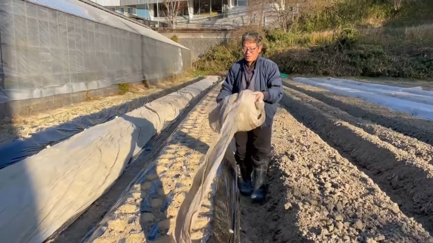畝の反対側まで不織布を伸ばしながら移動する投稿者