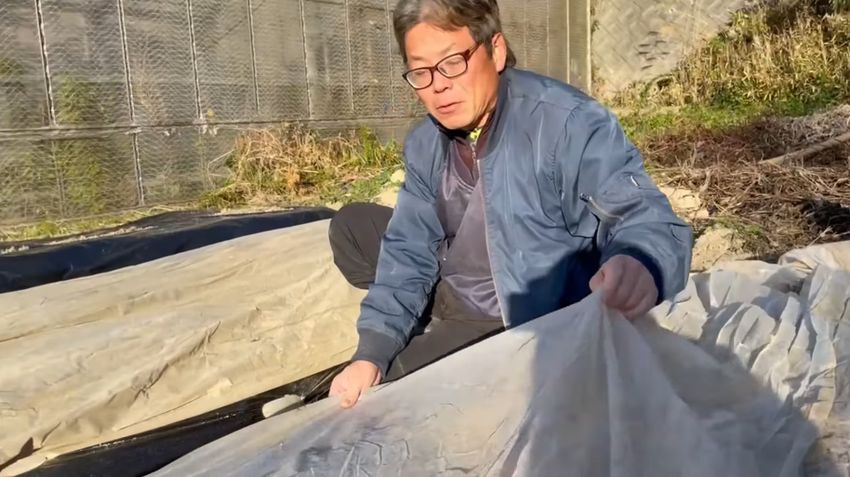 余裕を持たせてあるため上方向にも引っ張れる不織布