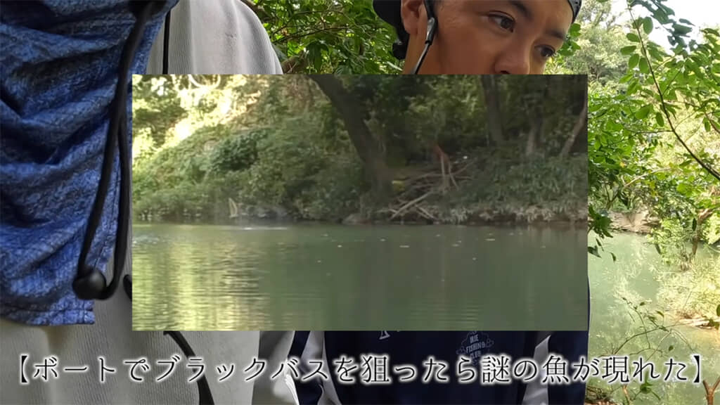 以前この池で、謎の巨大魚を見かけたのだとか