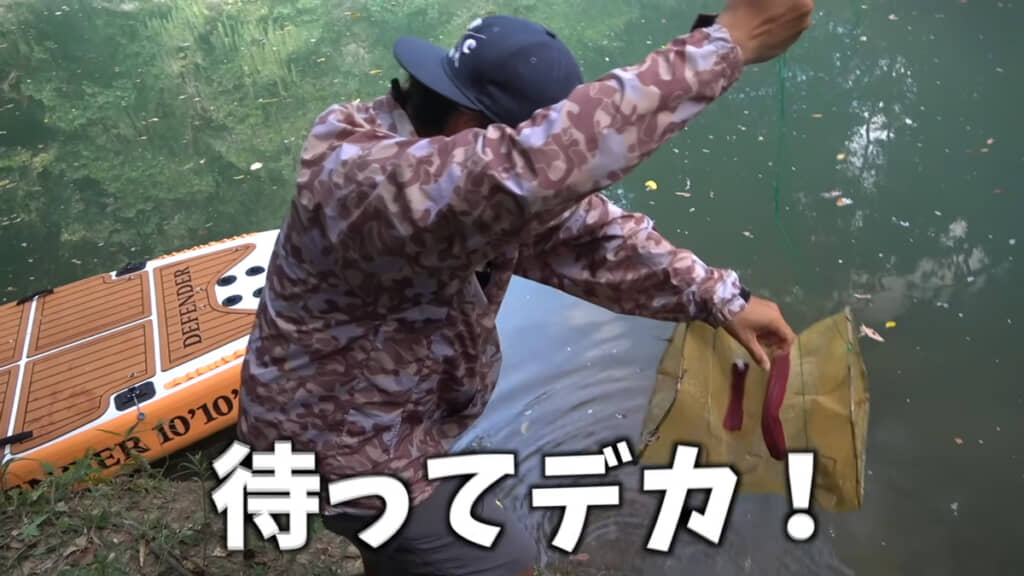 引き上げてみると……