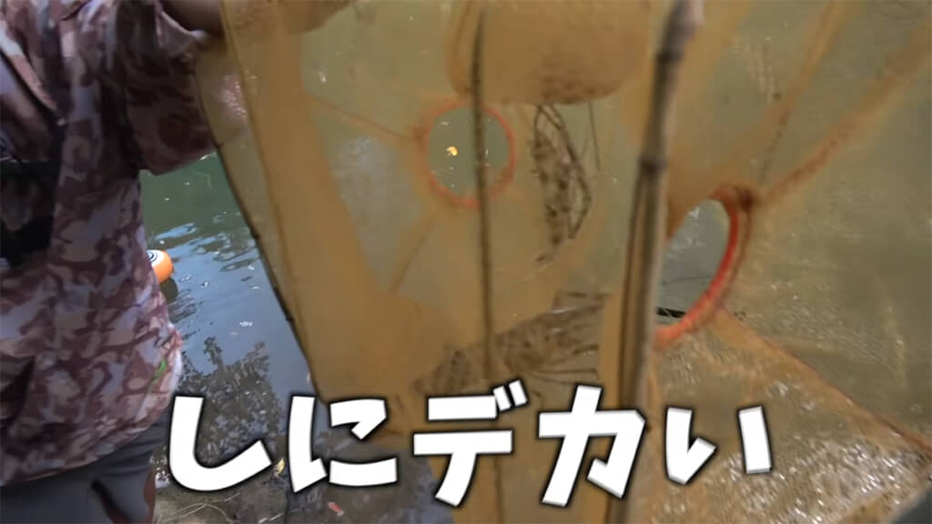 あまりの大きさに大興奮です