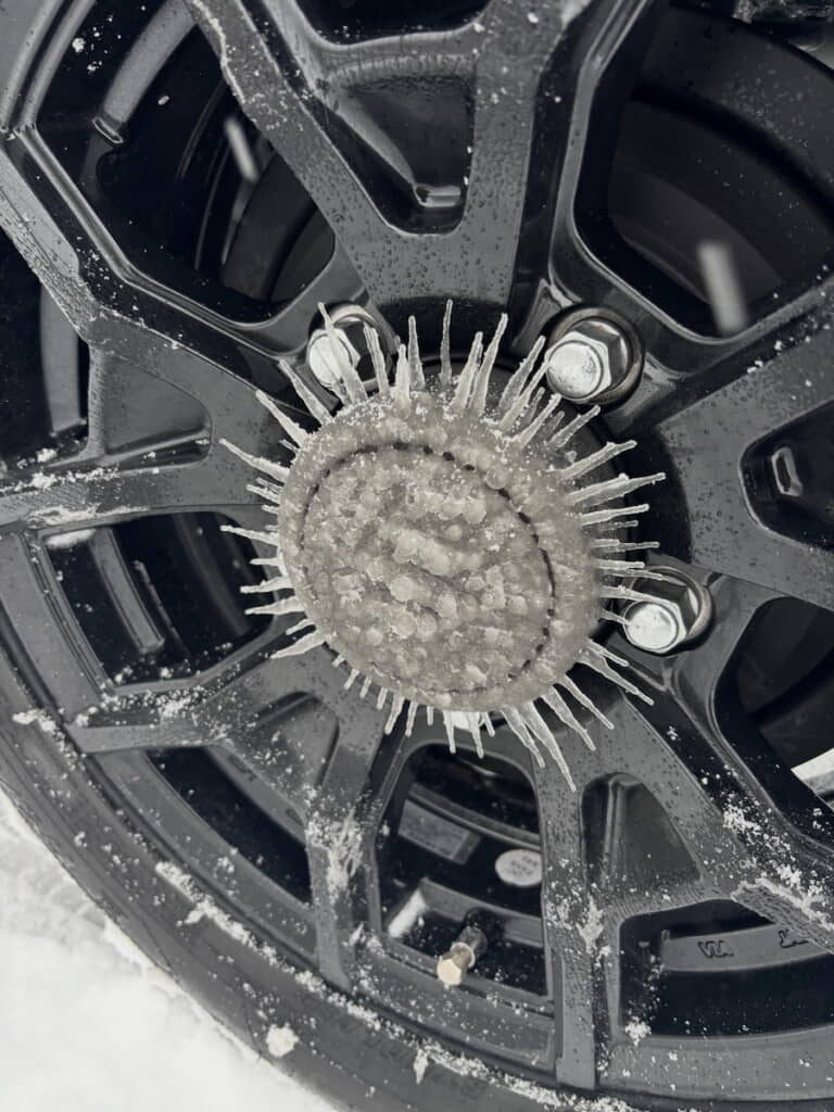 なんかトゲ生えてる！