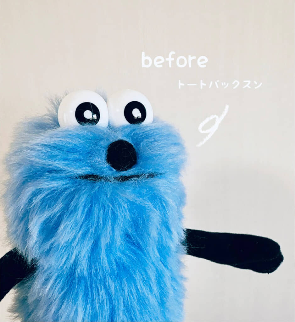 トリミング前は毛がボサボサ