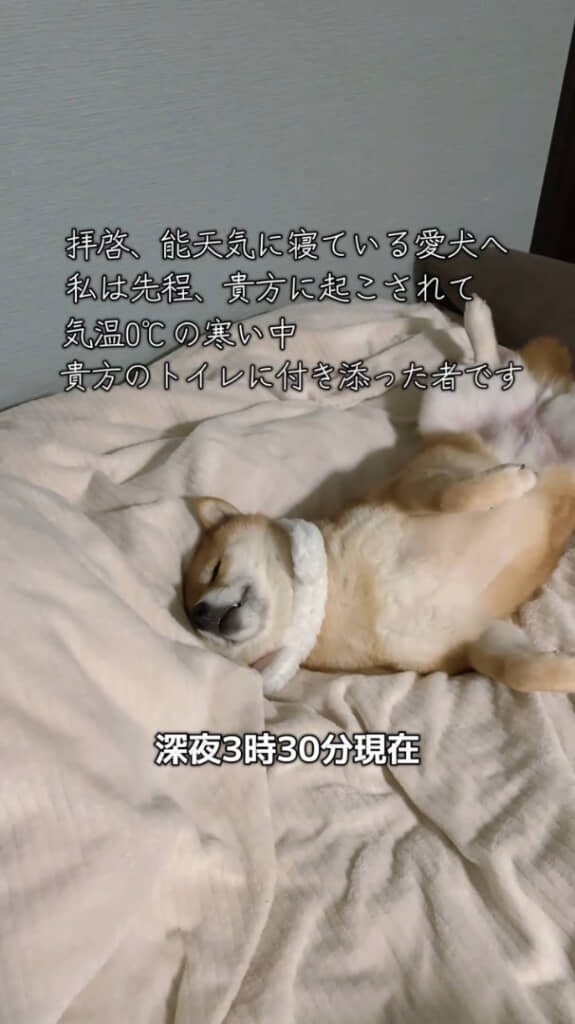 深夜3時半の出来事です