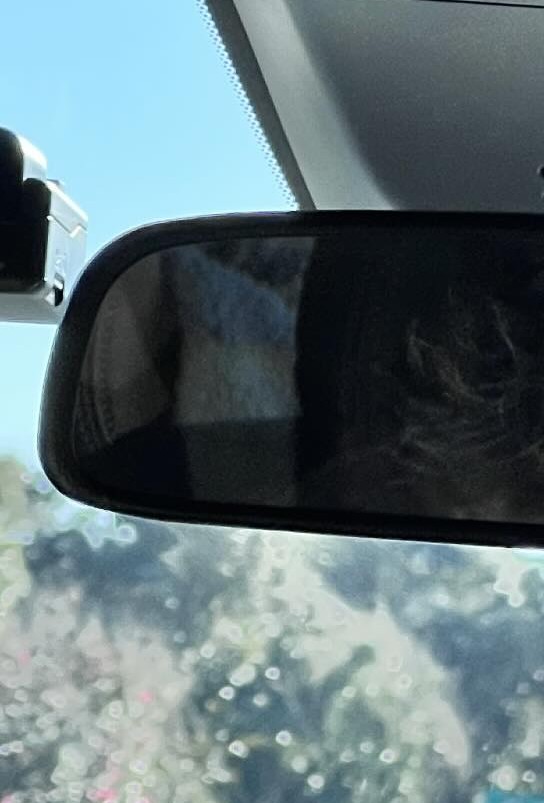 バックミラーに写った衝撃の光景