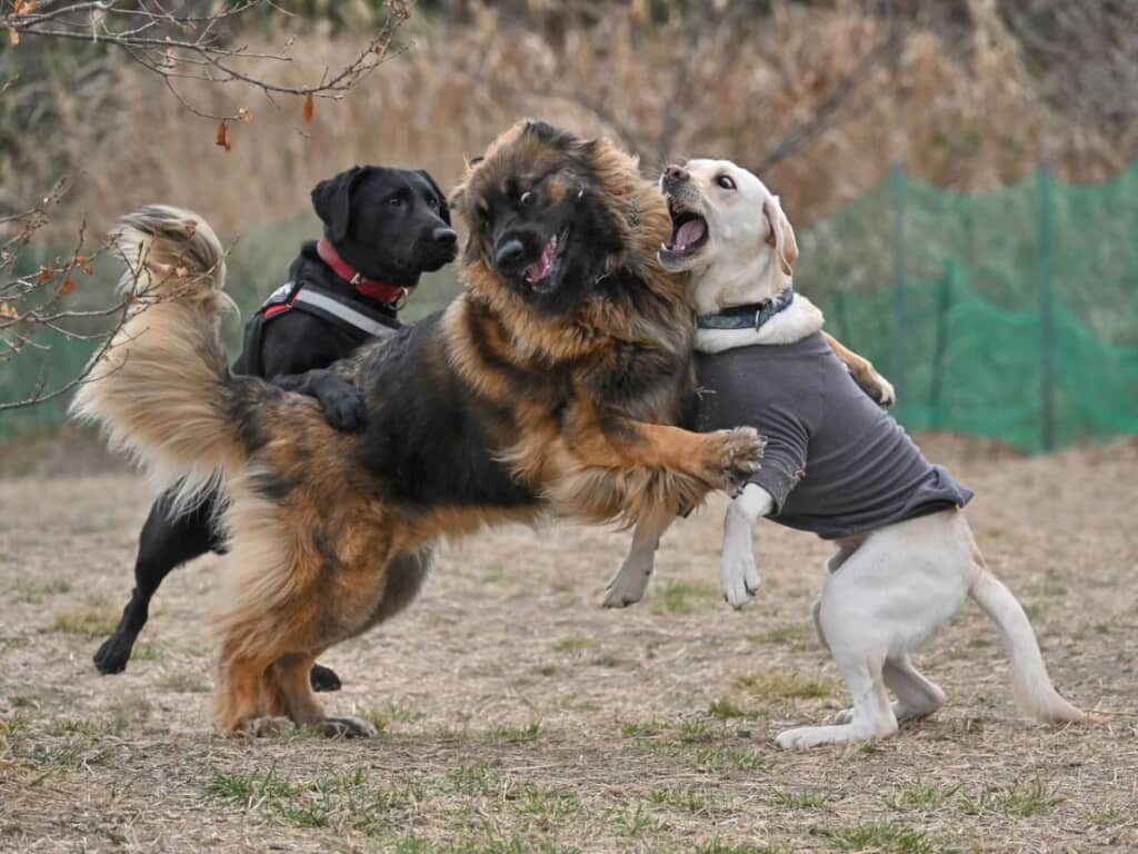 面白い表情も見せてくれます