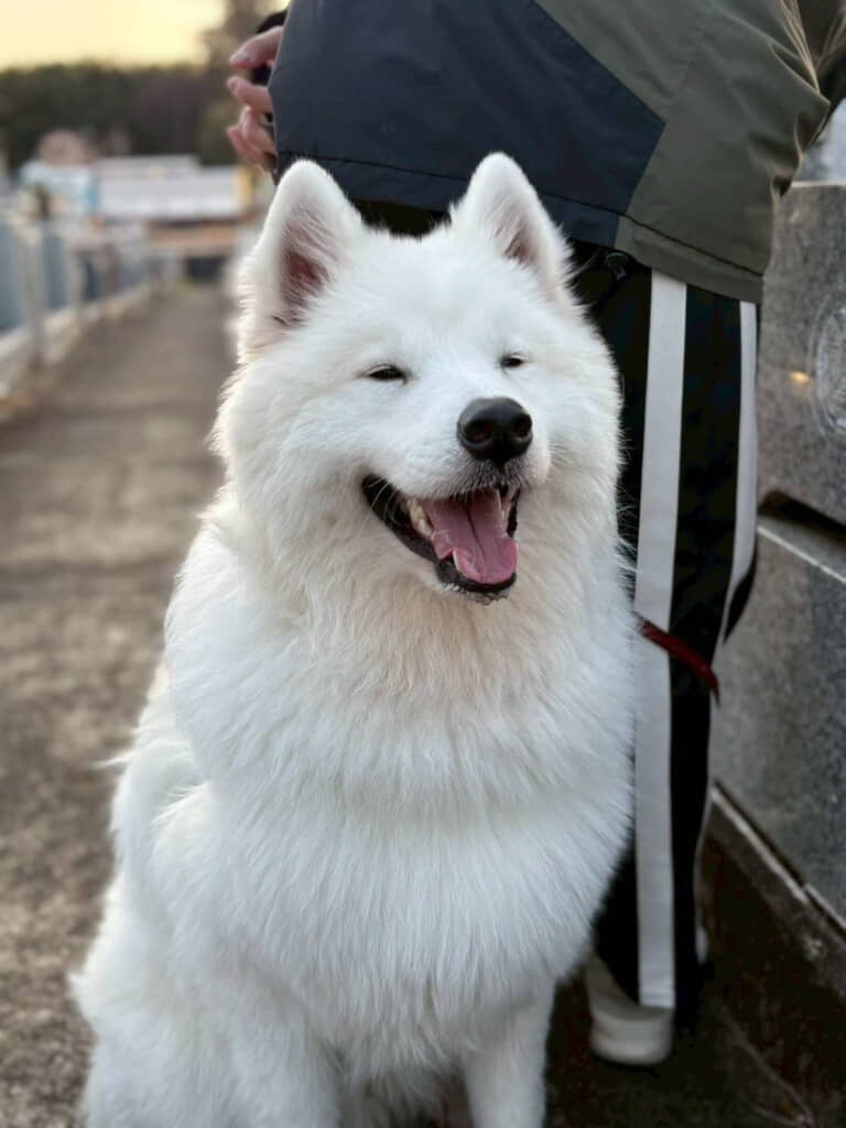 世界を救えそうな笑顔