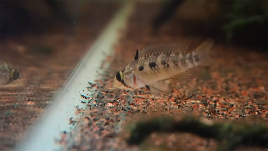 数日後、小さな違和感が