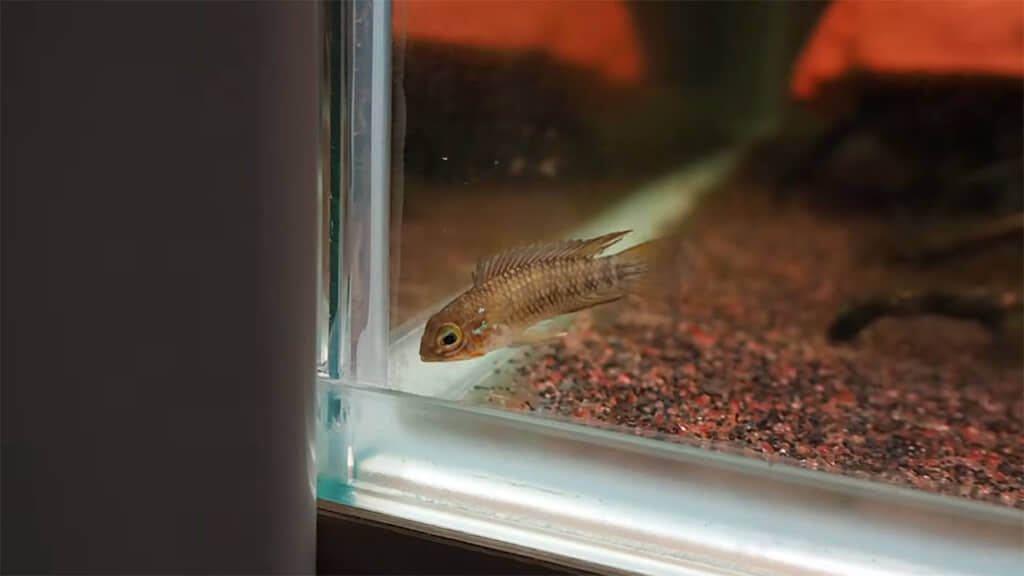 水質を変えていくと……