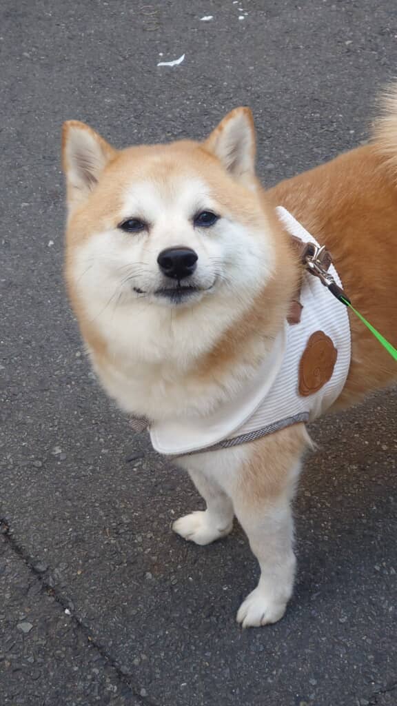 「ええんやで」