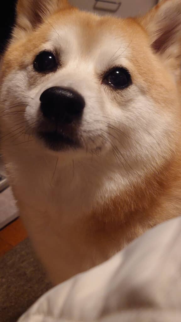 いつも隣に寄り添ってくれます