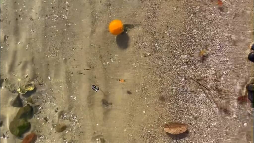 宇和島の海に漂っていたまさかの漂流物