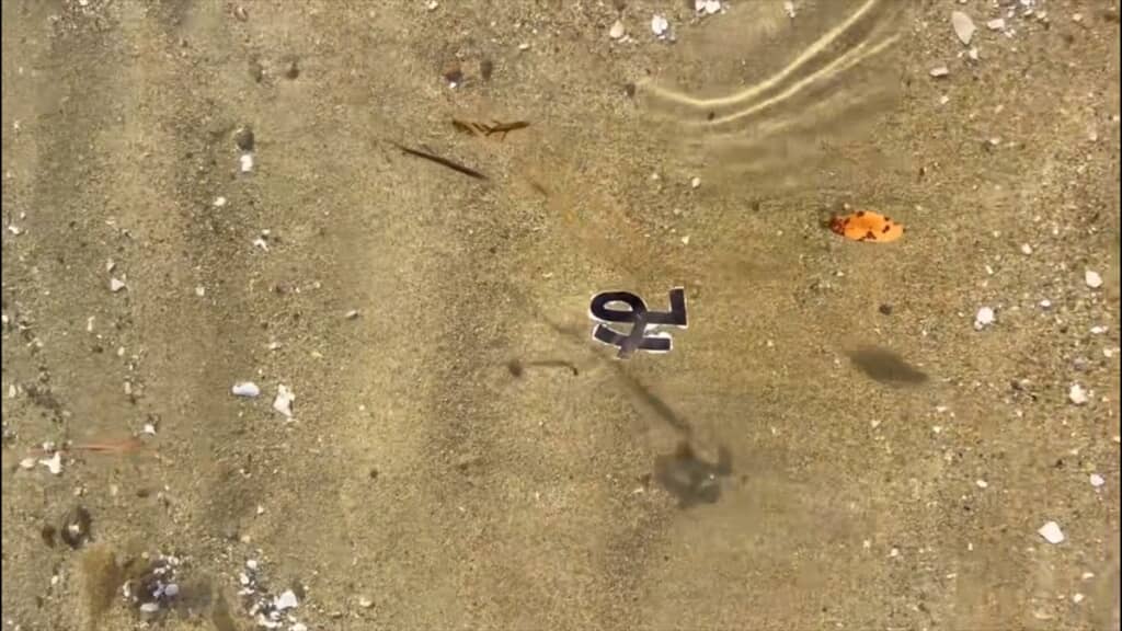 宇和島の海に漂っていたまさかの漂流物