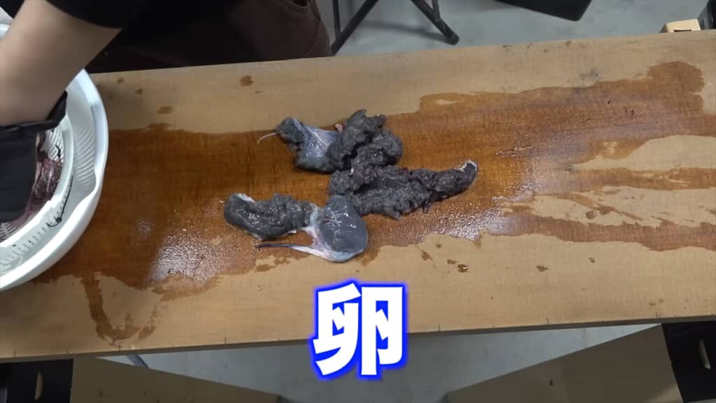 巨大ソウギョの解体