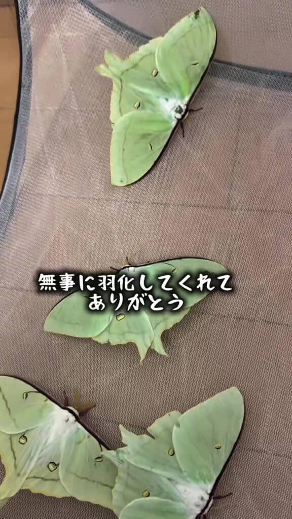 もはや我が子も同然